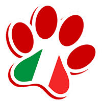Logo de Cittapet pata
