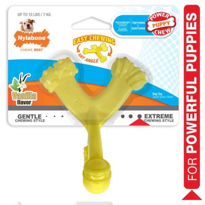 NYLABONE® AXIS BONE NYLON PUPPY CHEW TOY