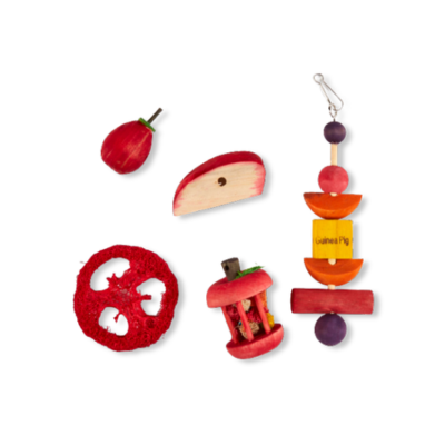KAYTEE® CHEW & TREAT TOY ASSORTMENT FOR GUINEA PIGS 5 PACK