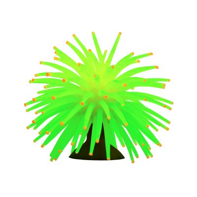 GLOFISH® MINI ANEMONES