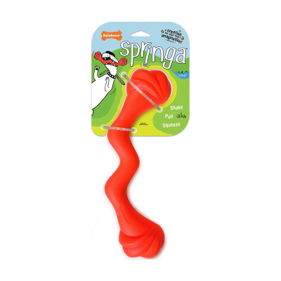 NYLABONE® SPRING INTERACTIVE DOG TOY FOR DOG ENRICHMENT