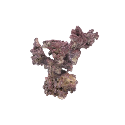 CARIBSEA® LIFEROCK™ NANO TREE