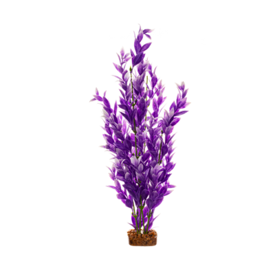 GLOFISH® PURPLE & WHITE