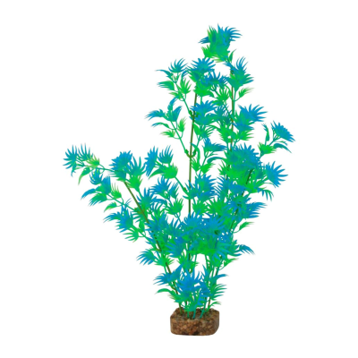 GLOFISH® GREEN & BLUE
