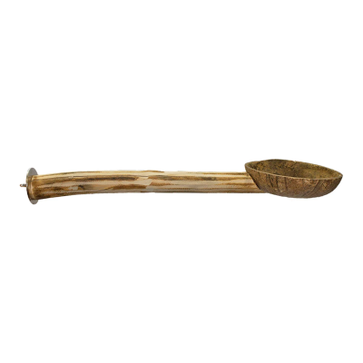 EXOTIC NUTRITION® JUNGLE CANOPY TOYS - COCONUT CUP WITH PERCH