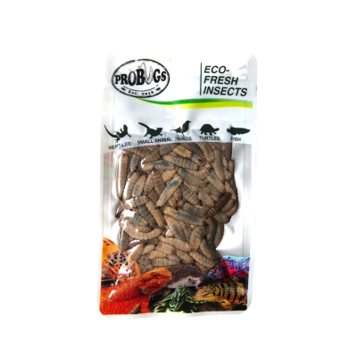 PROBUGS® ECO FRESH INSECTS - BLACK SOLDIER FLY LARVAE - 20 gr.