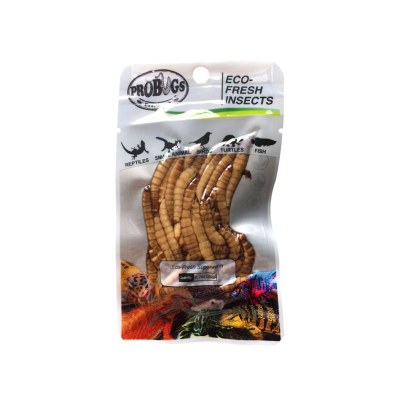 PROBUGS® ECO FRESH INSECTS - SUPERWORM - 20 gr.