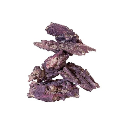 CARIBSEA® LIFEROCK™ ULTIMATE SHELF ROCK - 20 lb.