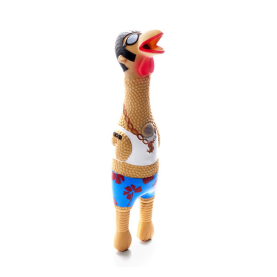 OUTWARD HOUND® CHARMING PET SQUAWKERS EARL